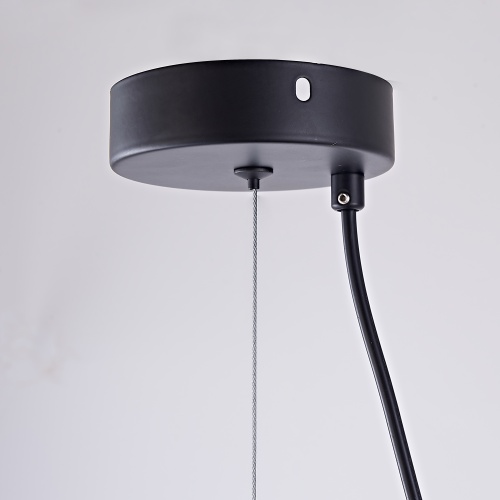 Подвесной светильник MARGOTT D35 Black 213908-23