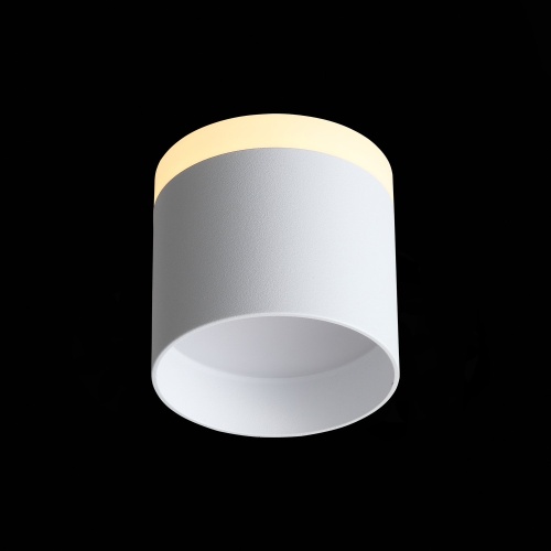 ST102.502.09 Светильник потолочный Белый LED 1*9W 3000K 702Lm Ra&gt;80 120° IP20 D79xH75 170-240V Накладные светильники