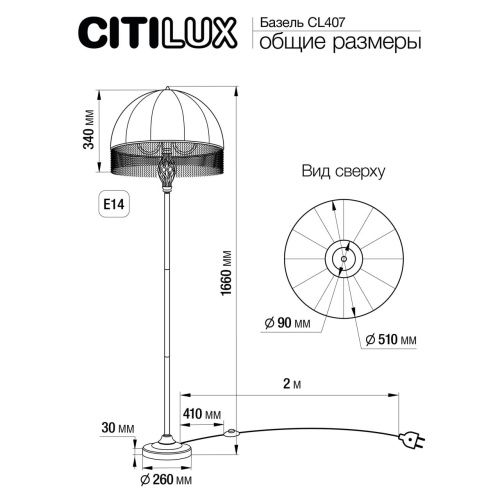 CL407922 Базель Патина+Зеленый Торшер