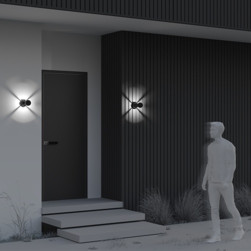 Уличный настенный светильник Outdoor O458WL-L9GF3K