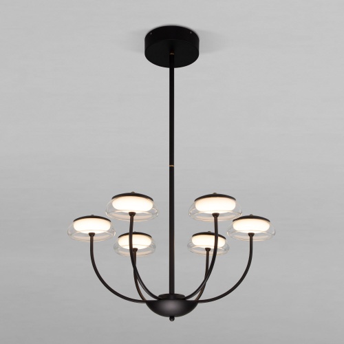 Потолочный светильник Eurosvet 50388 LED черный