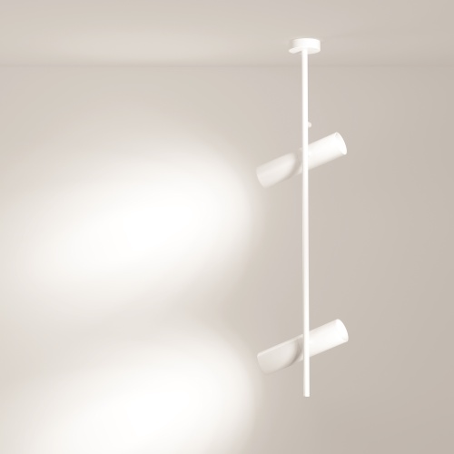 Потолочный светильник Technical C021CL-02W