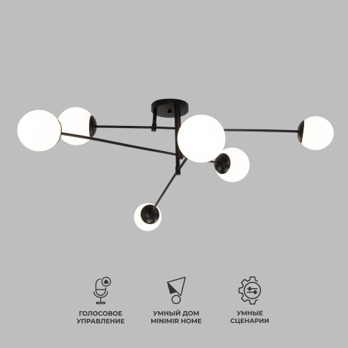 Потолочный светильникчерный Smart Eurosvet 30181/6