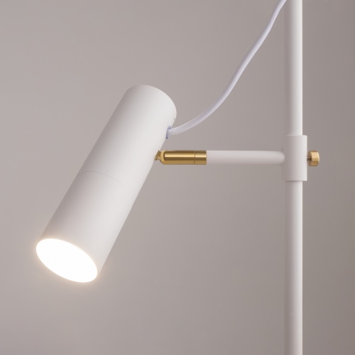 Напольный светильник (торшер) Maytoni MOD129FL-01W