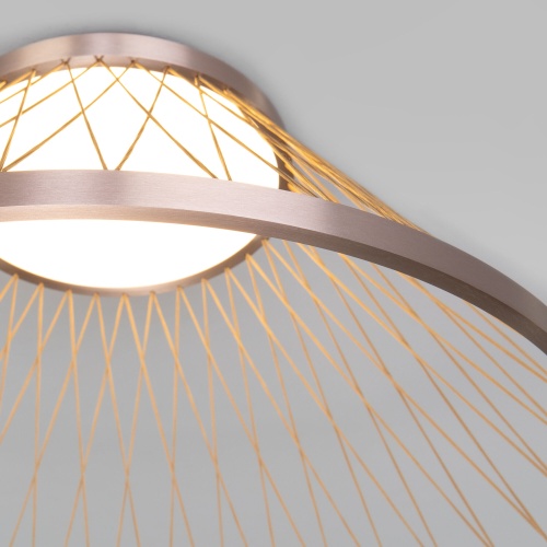 Потолочный светильник Eurosvet 40019/1 LED коричневый