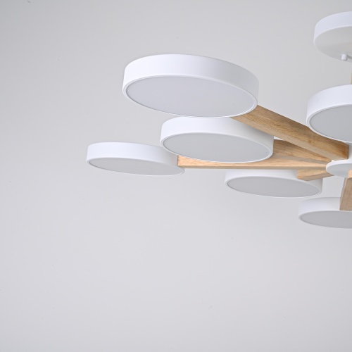 Потолочный Светильник Turna L10 White от Imperiumloft 228850-26
