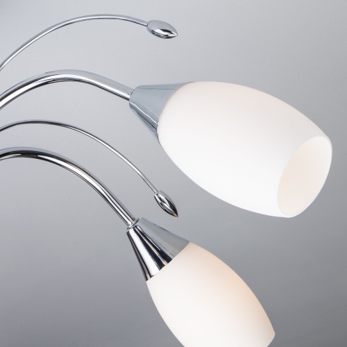 Потолочный светильник Eurosvet 22080/6 хром