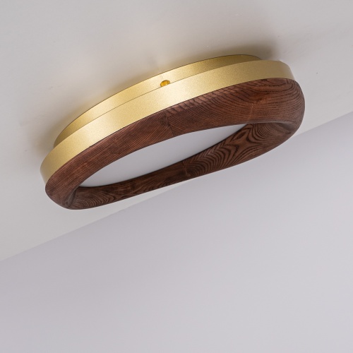 Потолочный светильник RUNIS D45 Dark brown 219474-26