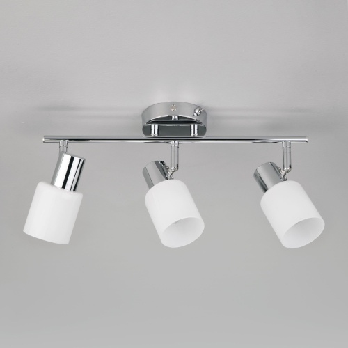 Настенный светильник Eurosvet 20089/3 хром