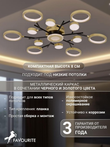 Потолочный светильник 4686-13C