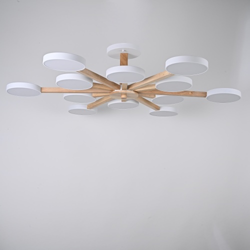 Потолочный Светильник Turna L12 White от Imperiumloft 228851-26