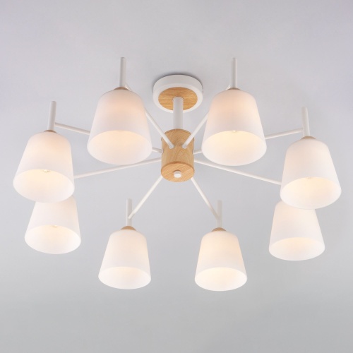 Потолочный светильник Eurosvet 70085/8 белый