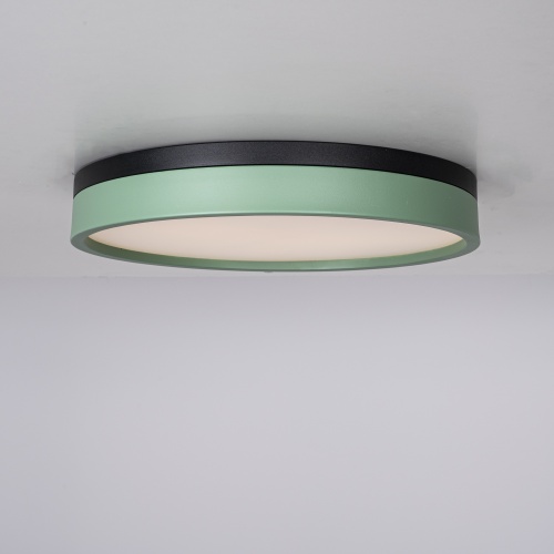 Потолочный светильник KIER D40 Green 181022-26