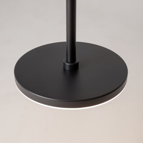 Подвесной светильник Maytoni P076PL-L12W4K-B