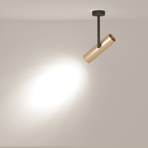 Потолочный светильник Technical C020CL-01GB