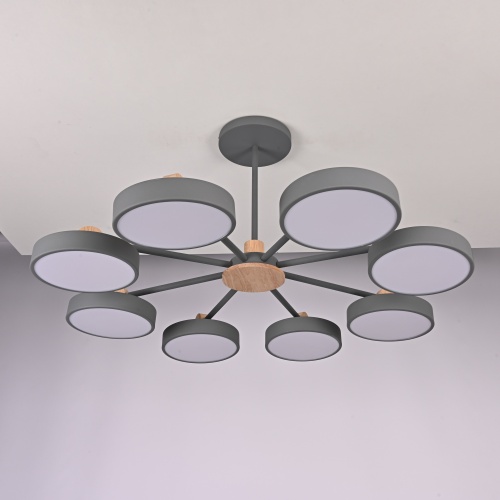 Потолочная люстра MOVE 8 Gray 178257-26