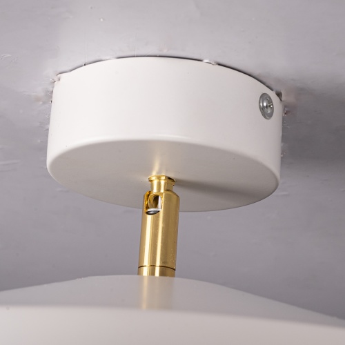 Потолочный светильник BIRK D30 White 377315-23