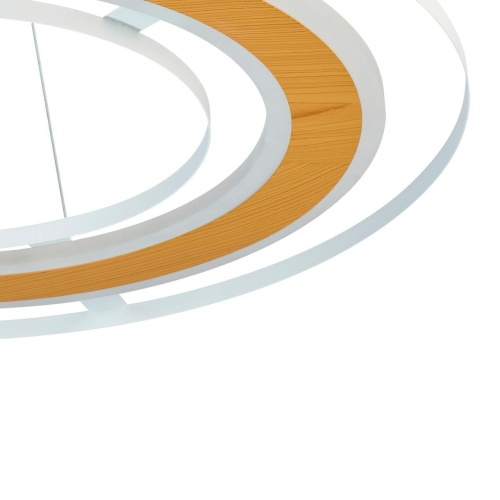 Подвесная люстра F-Promo 4696-4P, подвесная люстра, D450xH400/1500, LEDx30W, 2300LM, 3000-6000K, included, remote control