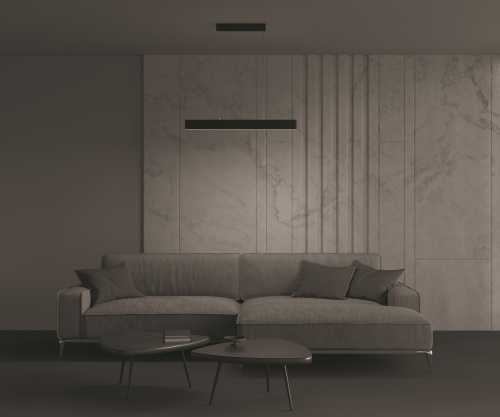 Подвесной светильник Maytoni P010PL-L23B