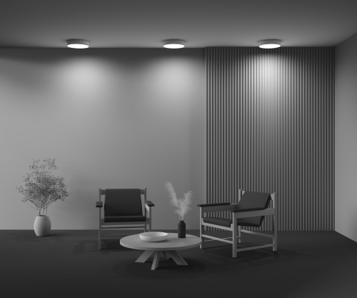 Потолочный светильник Technical C032CL-36W3K-RD-W