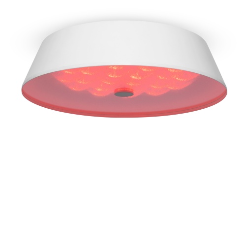Потолочный светильник Freya FR10013CL-L24W