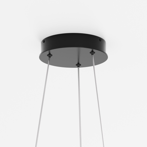 Подвесной светильник Maytoni MOD058PL-L65BK