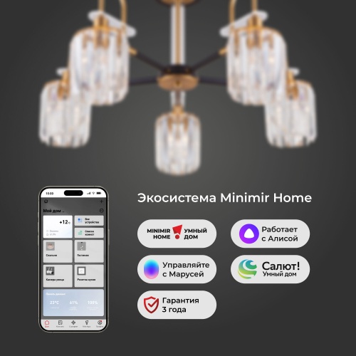 Потолочный светильник Eurosvet 70090/5 черный Smart