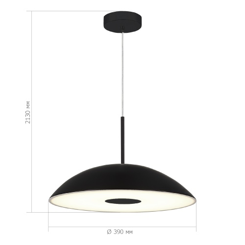 SL6128.403.01 Светильник подвесной ST-Luce Черный/Черный LED 1*24W 3000K LID