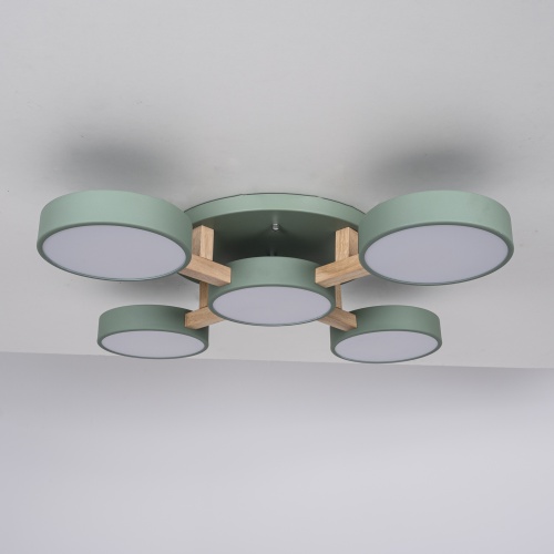 Потолочная люстра JOIST 5 Green 178330-26