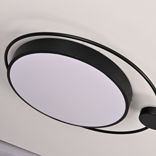 Потолочный светильник DESTIN D60 Black 193729-26