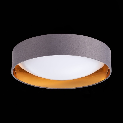 SLE201112-01 Светильник потолочный Серый, Золотистый/Белый LED 1*24W 4000K ORBIO