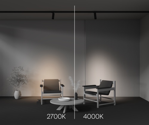 Трековый светильник Technical TR198-3-20W2.7K-Z-B