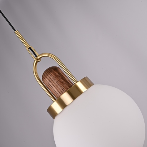 Подвесной светильник Arc Globe Шар D20 191841-26