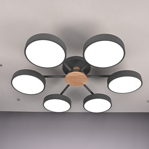 Потолочная люстра MOVE 6 Gray 178253-26