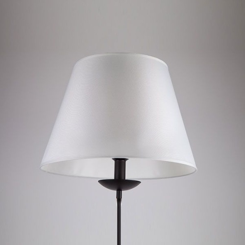 Напольный светильник Eurosvet 01008/1 черный