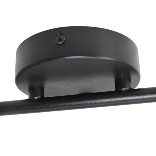 Arte lamp A2365PL-2BK СВЕТИЛЬНИК ПОТОЛОЧНЫЙ