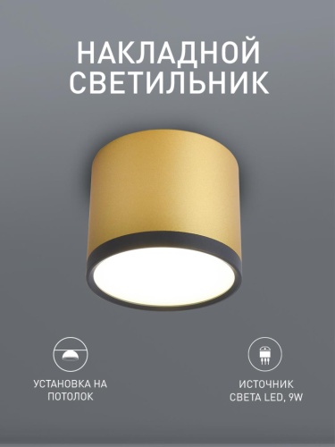 Потолочный светильник 3082-2C