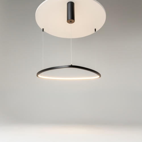 Подвесной светильник Maytoni MOD072PL-L28B3K