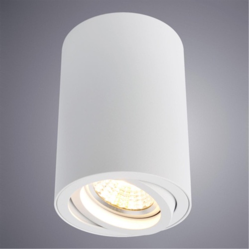 Накладной светильник Arte lamp A1560PL-1WH
