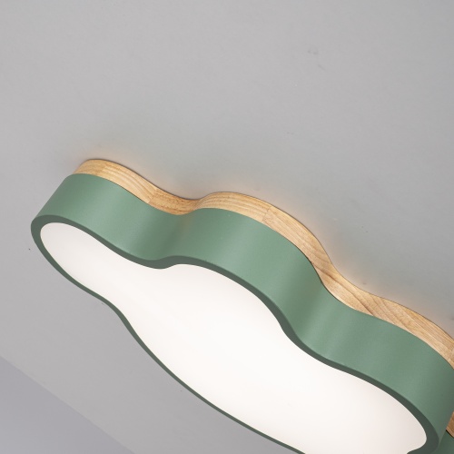 Потолочный светильник CLOUD ECO D50 Green 186698-26