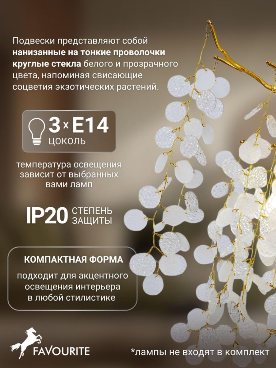 card-img