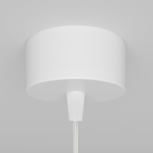 Подвесной светильник Maytoni P075PL-01W