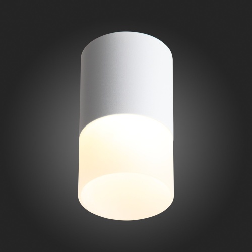 ST100.502.10 Светильник потолочный Белый LED 1*10W 3000K 780Lm Ra&gt;80 120° D78xH135 170-240V Накладные светильники