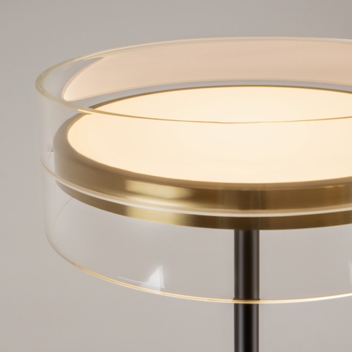 Напольный светильник (торшер) Maytoni MOD348FL-L24BBS3K