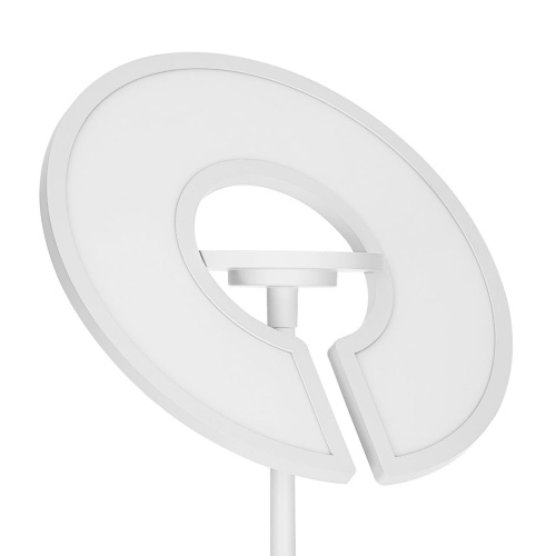 CL810030 LOONG RGB Белый Торшер