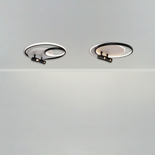 Потолочный светильник Freya FR6083CL-L90WB