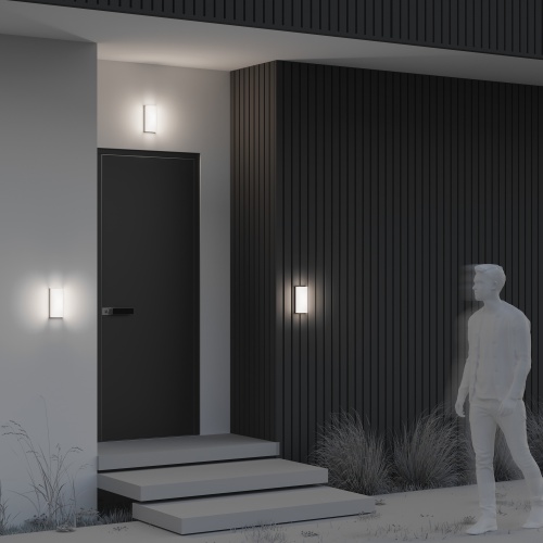 Уличный настенный светильник Outdoor O454WL-L10GF3K1