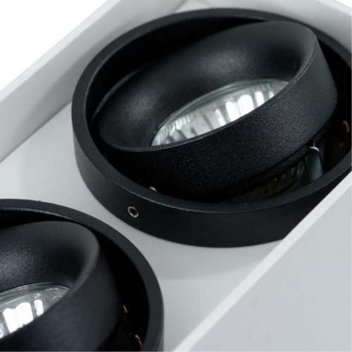 Накладной светильник Arte lamp A5655PL-2WH СВЕТИЛЬНИК ПОТОЛОЧНЫЙ
