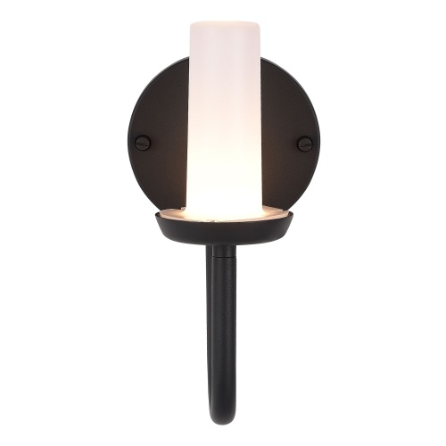 SL9539.701.01 Светильник уличный настенный ST-Luce темно-серый LED 1*3W 3000K CANDLE