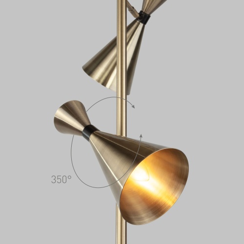 Напольный светильник Bogate's 01109/2